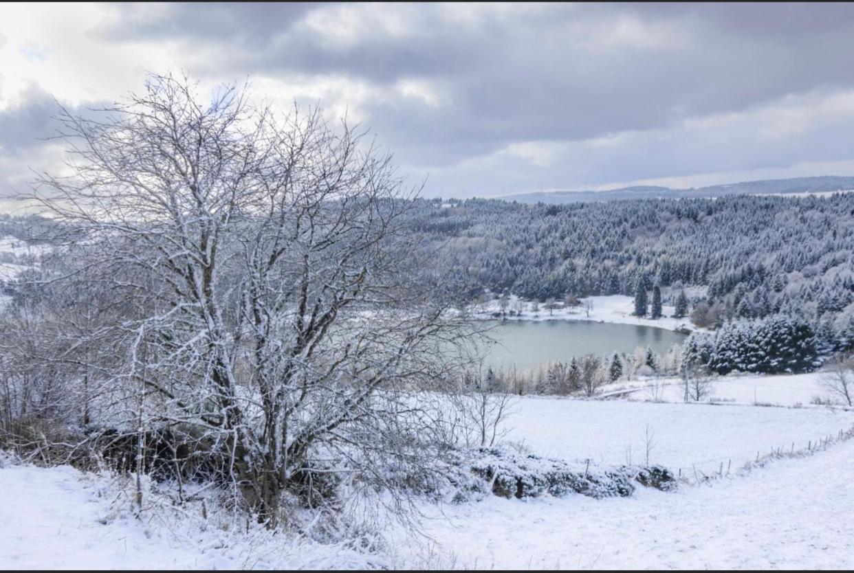 Appartamento Loire-Gerbier-Mezenc Sainte-Eulalie  Esterno foto