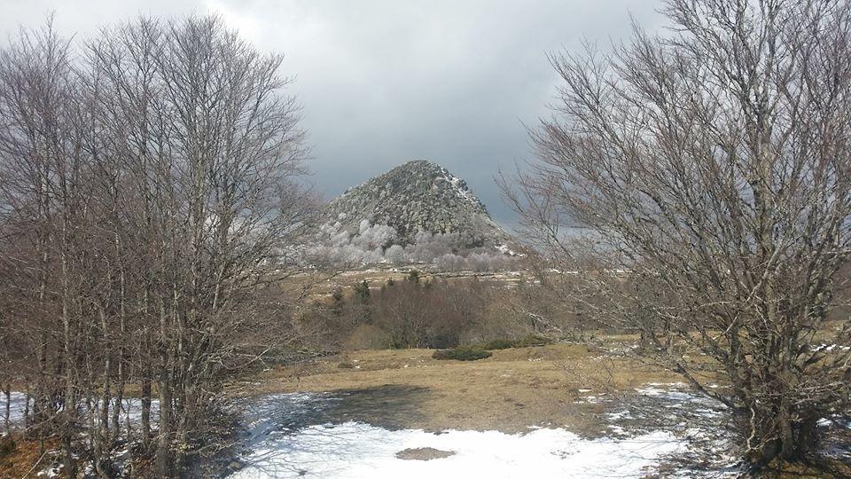 Appartamento Loire-Gerbier-Mezenc Sainte-Eulalie  Esterno foto