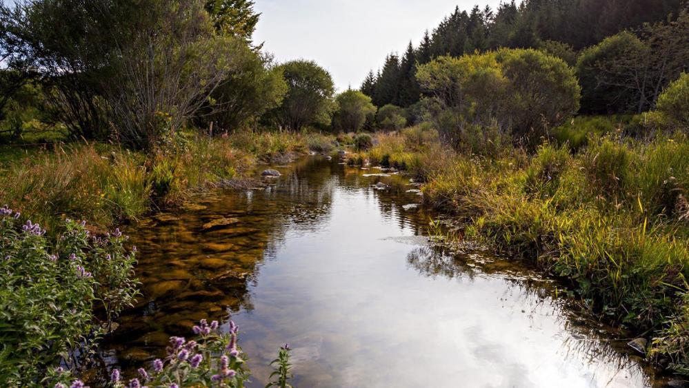 Appartamento Loire-Gerbier-Mezenc Sainte-Eulalie  Esterno foto